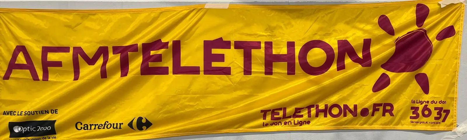 Telethon - 2024